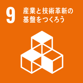 SDGs ロゴ９