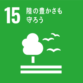SDGs ロゴ１５